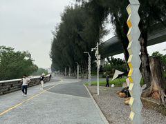 -宝安西湾红树林湿地公园