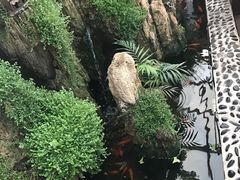 -丽江庭院之爱在路上(西单店)