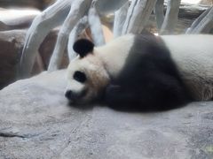 -宁波野生动物园