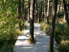 -鲁山国家森林公园