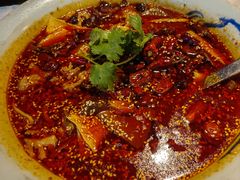 -辛香汇(飞洲店)