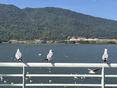 -海埂大坝
