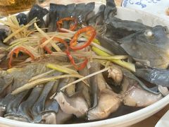 -煲来饱去冷水鱼