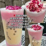 宝珠奶酪2024zui新测评！！跟着喝不踩雷✔️