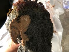 -津乐园(芥园道店)