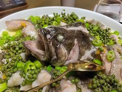 青青椒麻龙胆鱼-CHIC1699远洋私厨