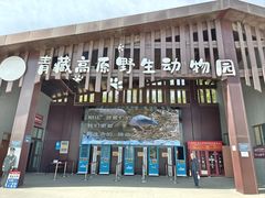 -青藏高原野生动物园
