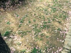 -平遥县衙