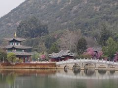-黑龙潭公园
