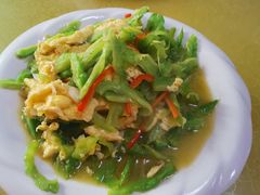 -煲来饱去冷水鱼