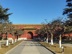 -北京市劳动人民文化宫(太庙)