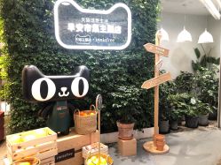 -悦诗风吟innisfree