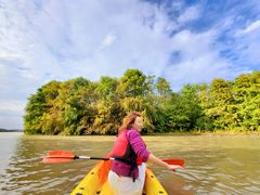 -上海海湾国家森林公园