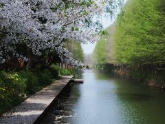 -虎丘湿地公园