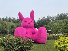-大望京公园