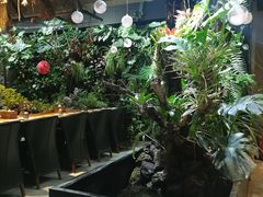 -森味薪火烧•烧鸟居酒屋•日本料理(望京店)