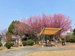 -月湖风景区