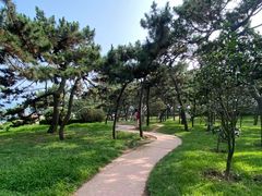-青岛德国总督楼旧址博物馆