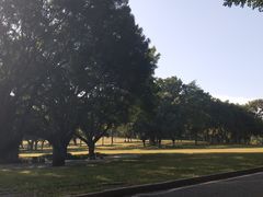 -东莞植物园