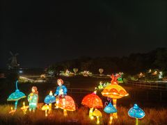 -大塘金香草谷