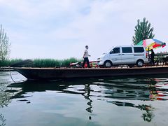 -白洋淀景区