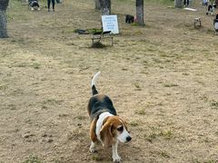 -小意思咖啡店(草桥店)