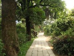-小洲村