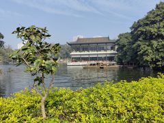 -荔湾湖公园