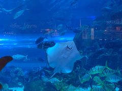 -美吉姆儿童发展中心(芜湖万达广场店)