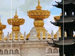 -上海东林寺(金山区)