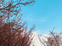 -白塘生态植物园