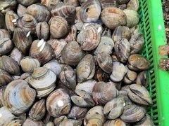 -和源祥·日照菜扛把子(万平口一店)