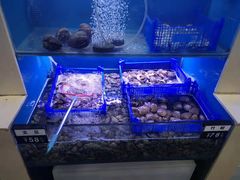 -老虎滩大连海鲜烧烤(建邺云锦路总店)