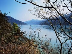 -羚羊峡古栈道森林公园