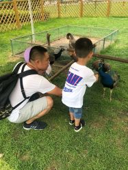 -萌宠亲子动物乐园(槐房万达店)