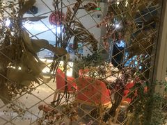 -花锅速食(日月广场店)
