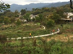 -塔川景区