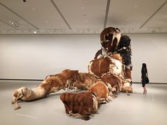 -巴黎路易威登基金会艺术中心 
