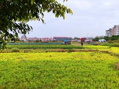 -鲮鱼村(龙归店)