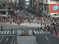-涩谷区