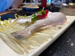-香佰里鲜货火锅(佳乐金街店)