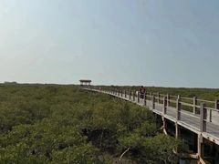-北海金海湾红树林生态旅游区