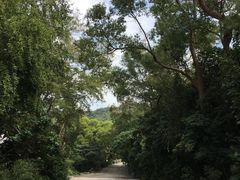 -南丫岛