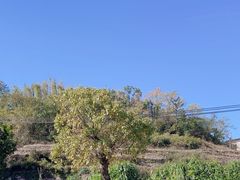 -云碧峰国家森林公园
