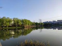 -九里河湿地公园