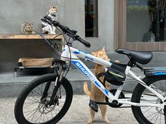 -Again Coffee Roaster(香蜜湖店)