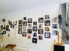 -平行世界·猫咖(首经贸店)