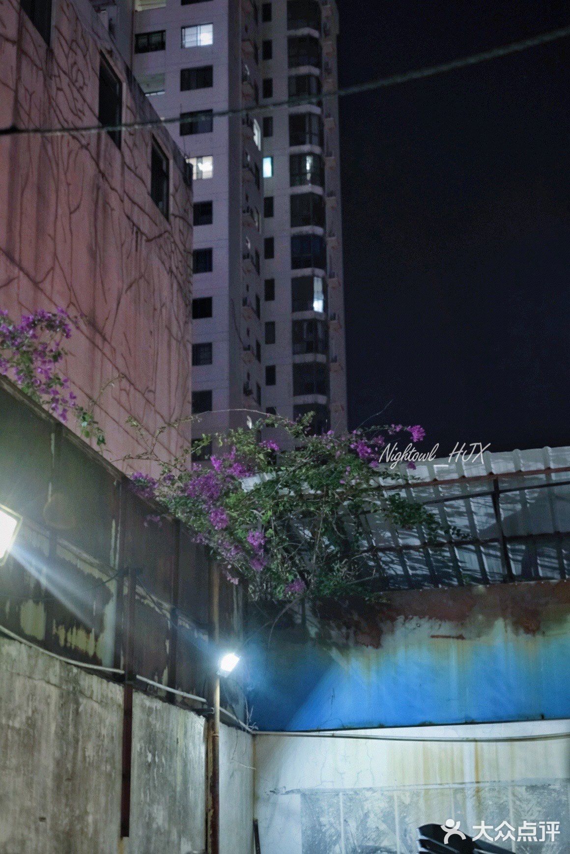 海甸岛近20年的肥肠馆子🥢