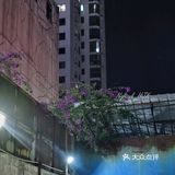 海甸岛近20年的肥肠馆子🥢