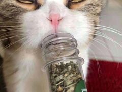 -CoCo都可(虹口龙之梦店)